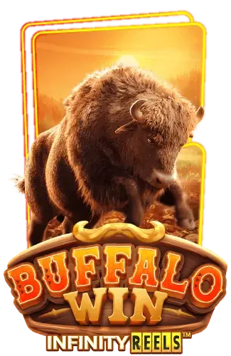 buffalo-win -ajm777